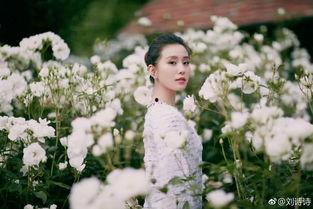 刘诗诗娱乐圈吃瓜视频